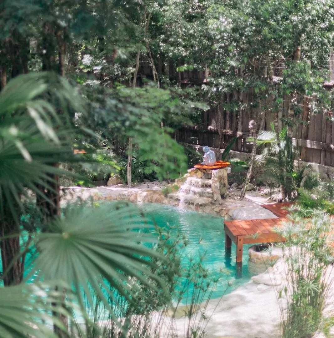 Nahouse Jungle Lodges Tulum Mexico