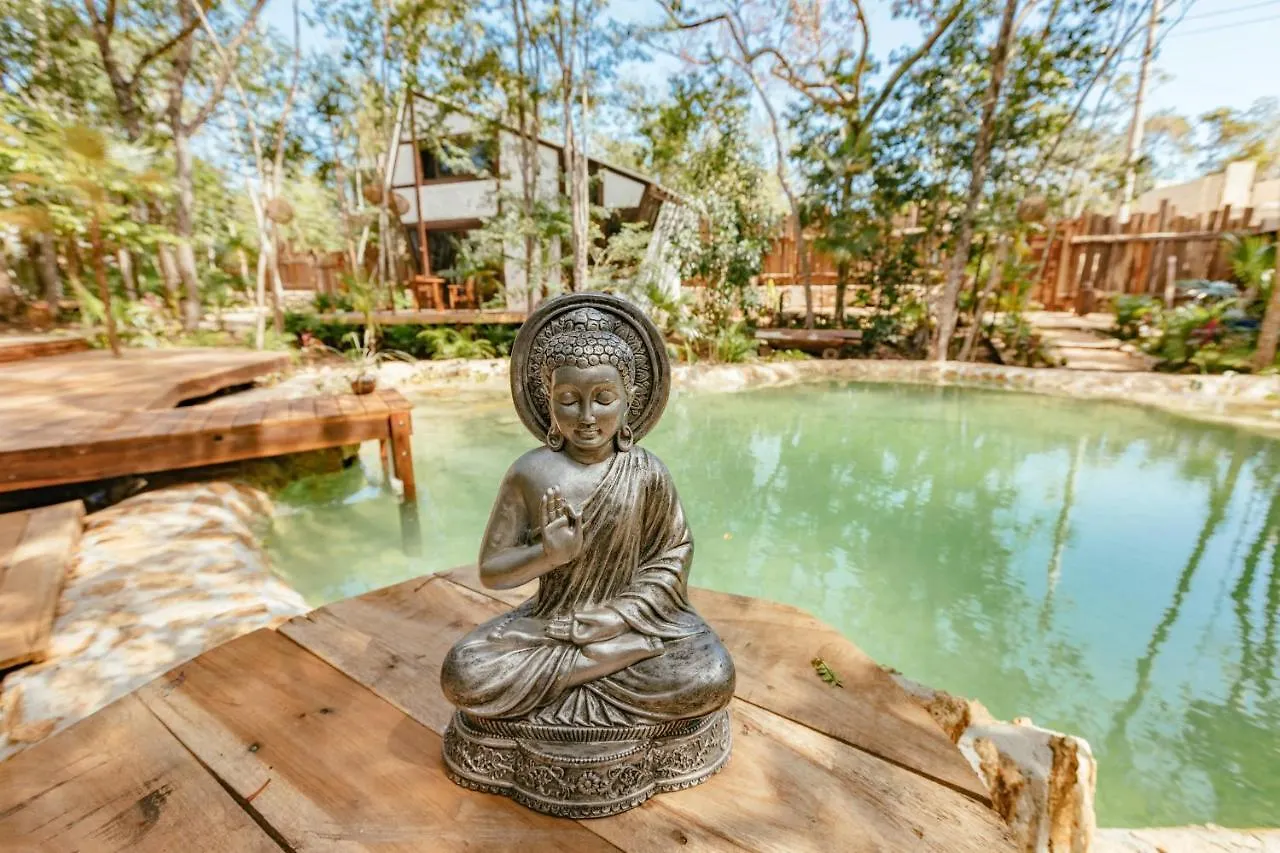 Nahouse Jungle Lodges Tulum