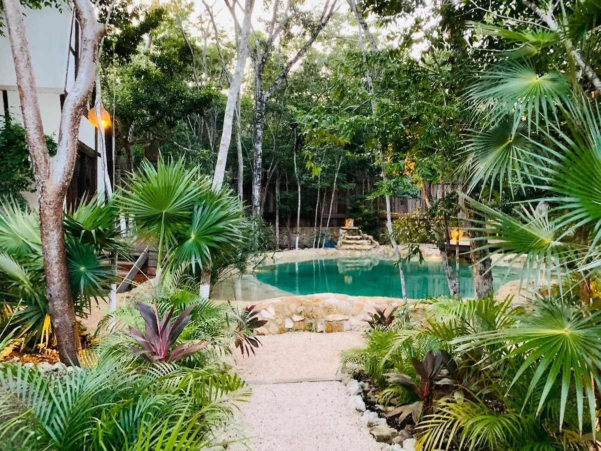 Nahouse Jungle Lodges Tulum