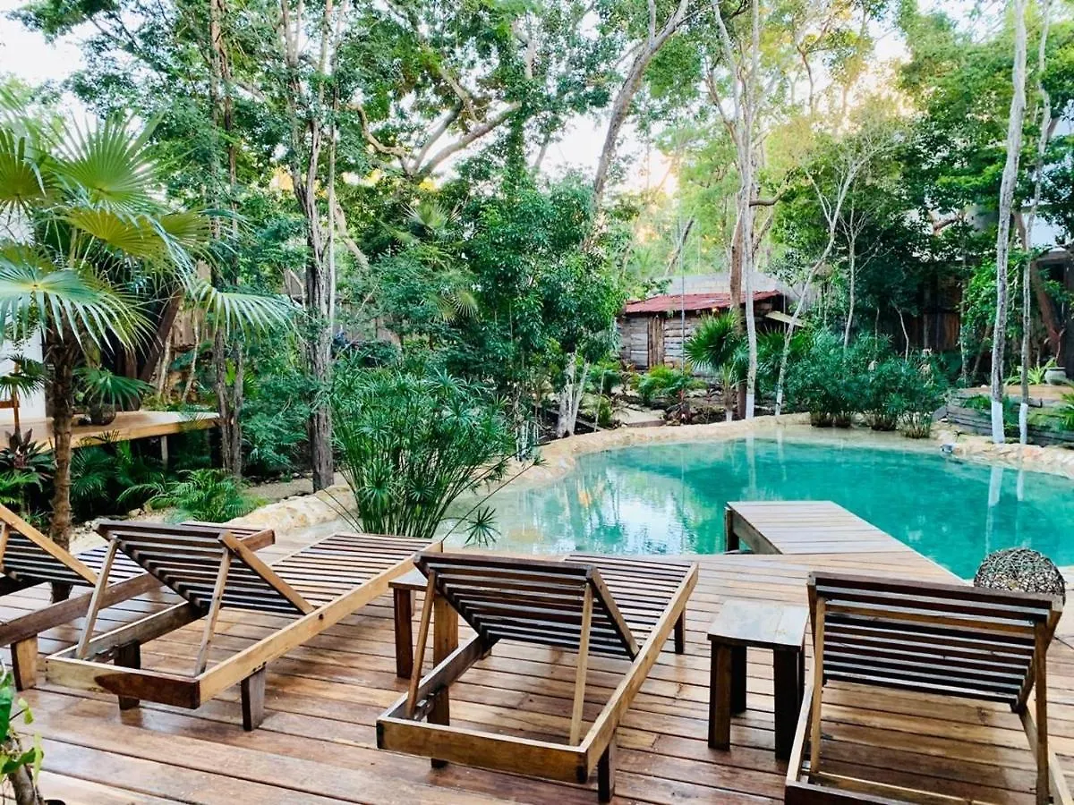 Nahouse Jungle Lodges Tulum Mexico