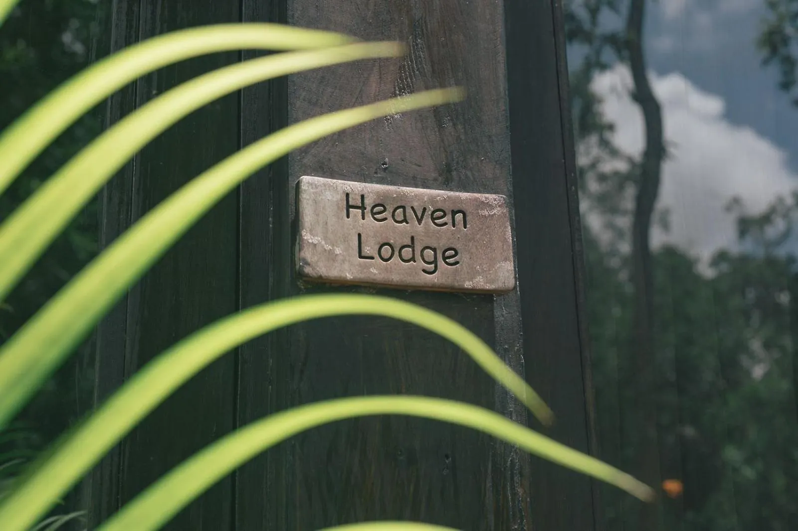 Nahouse Jungle Lodges Tulum