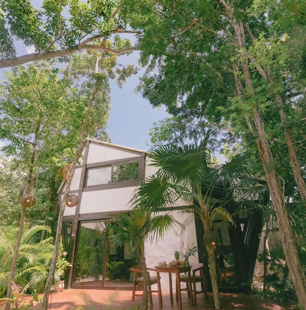 Nahouse Jungle Lodges Tulum