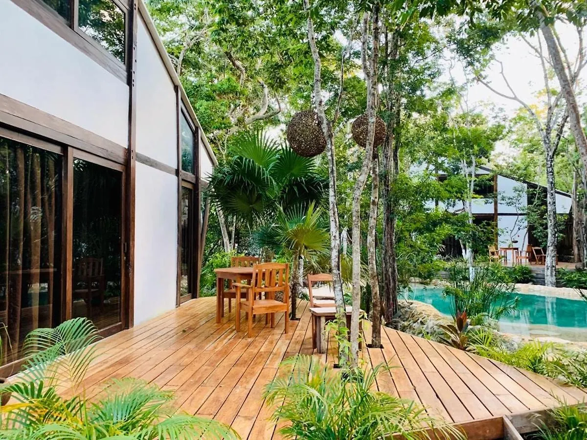 Nahouse Jungle Lodges Tulum