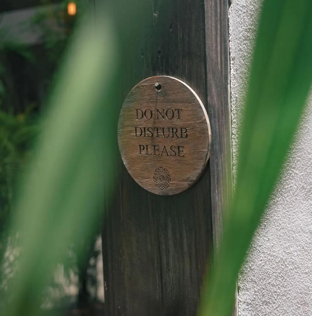 Nahouse Jungle Lodges Tulum